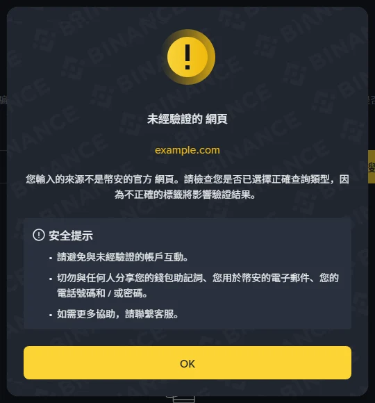 幣安官方驗證頁查詢 example.com 的結果視窗，標題顯示「未經驗證的 網頁」，說明輸入的來源不是幣安的官方網頁，並提醒檢查是否選對查詢類型；安全提示要求避免與未經驗證的帳戶互動、切勿分享錢包助記詞、電子郵件、電話號碼或密碼
